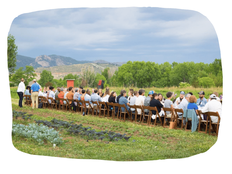 Farm dinner canva Farm dinner canva